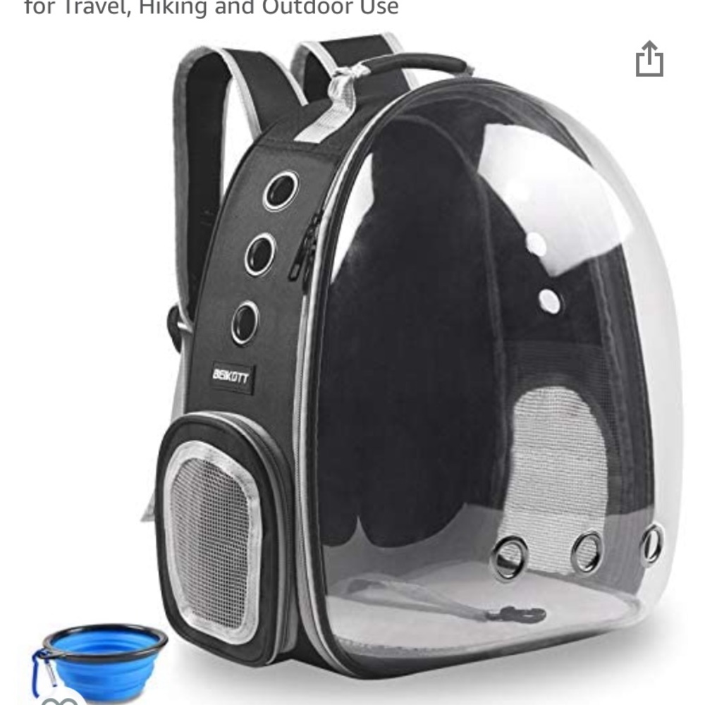 Cat Backpack